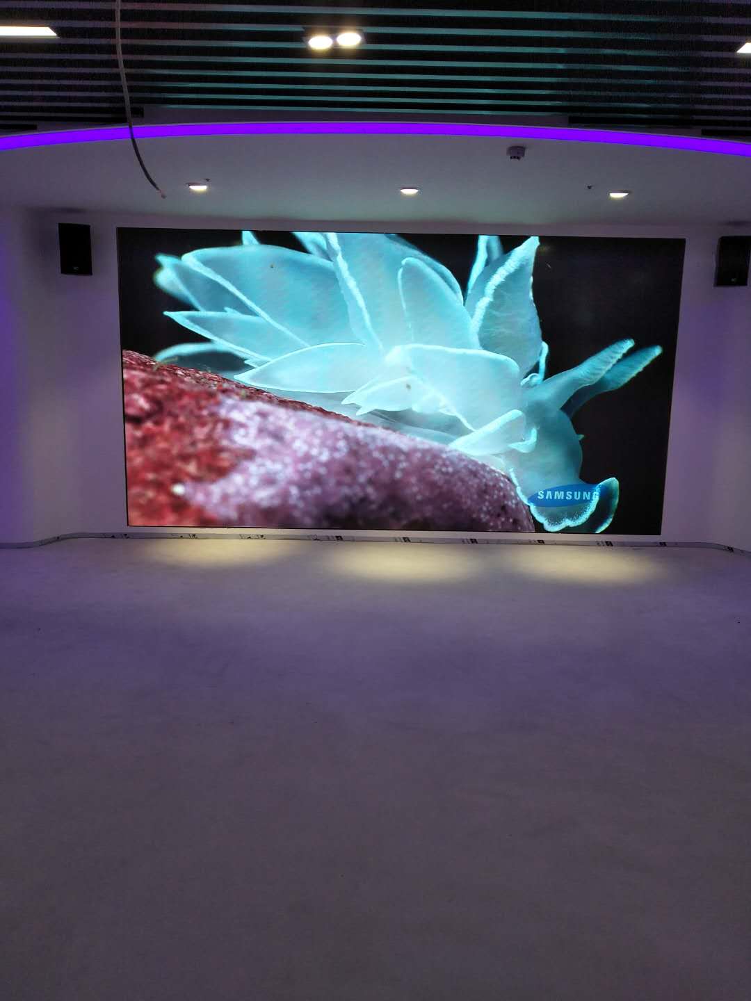 苏州某某学校